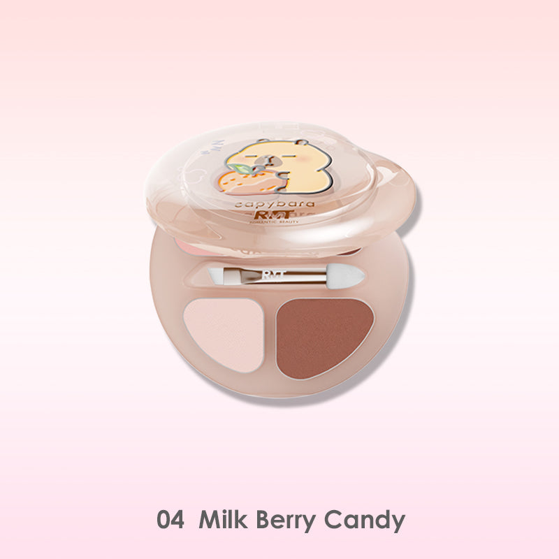 Capybara Four-Color Under-Eye Highlighting  Palette